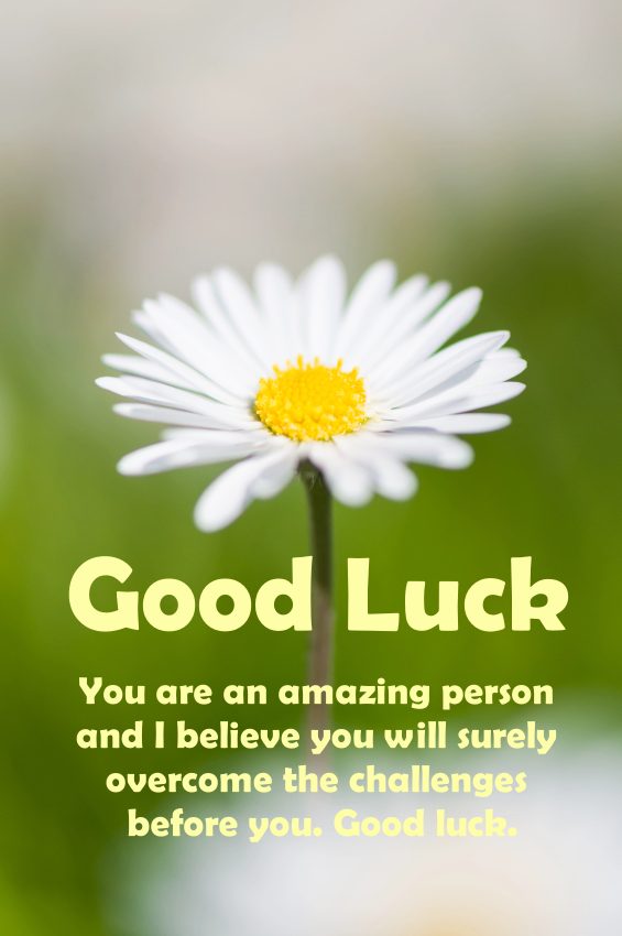 Good Luck Wishes Quotes, Sayings and Messages | good luck quotes for him/her, inspiring good luck messages, good luck quotes