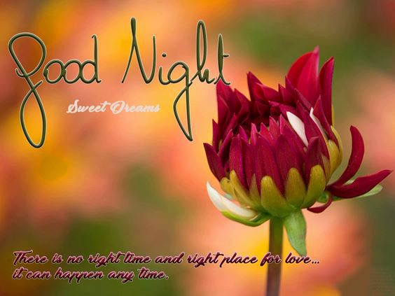good night blessings Inspiring Sweet Good Night Images Positive Quotes With Beautiful Pictures