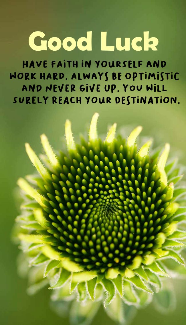 150 Good Luck Wishes Quotes Sayings And Messages Dreams Quote