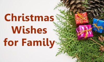 Happy Christmas Wishes For Family Blessed Christmas Greetings Card Sayings