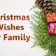 Happy Christmas Wishes For Family Blessed Christmas Greetings Card Sayings