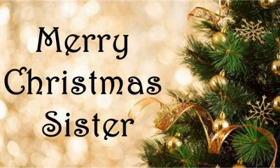 Merry Christmas Messages For Sister With Images Xmas Quotes Wishes