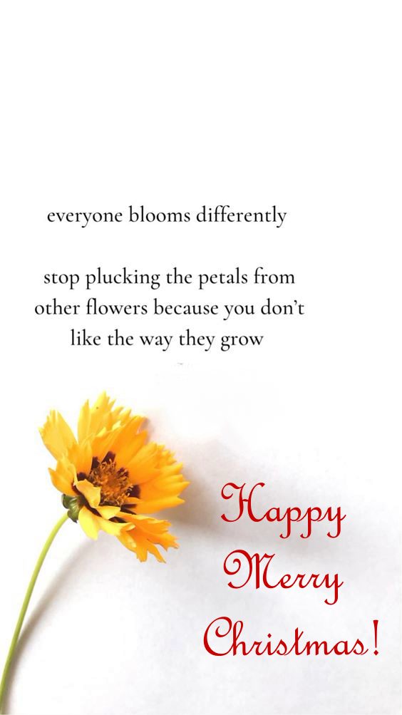 first christmas love quotes first christmas love quotes