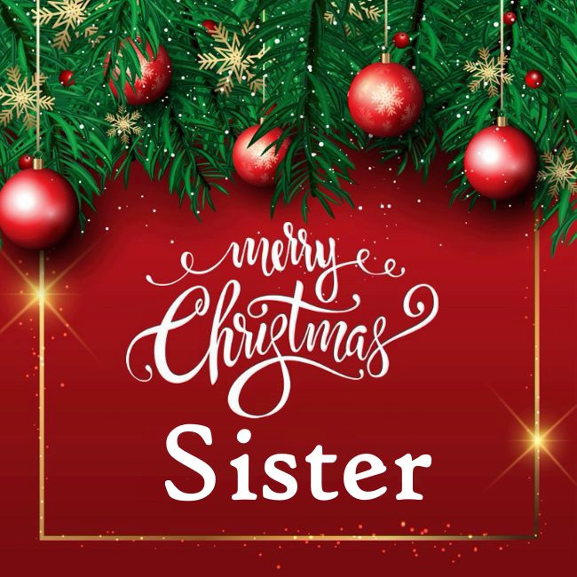 funny christmas quotes for sister