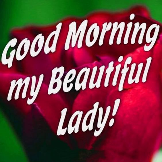 flirty text message bf