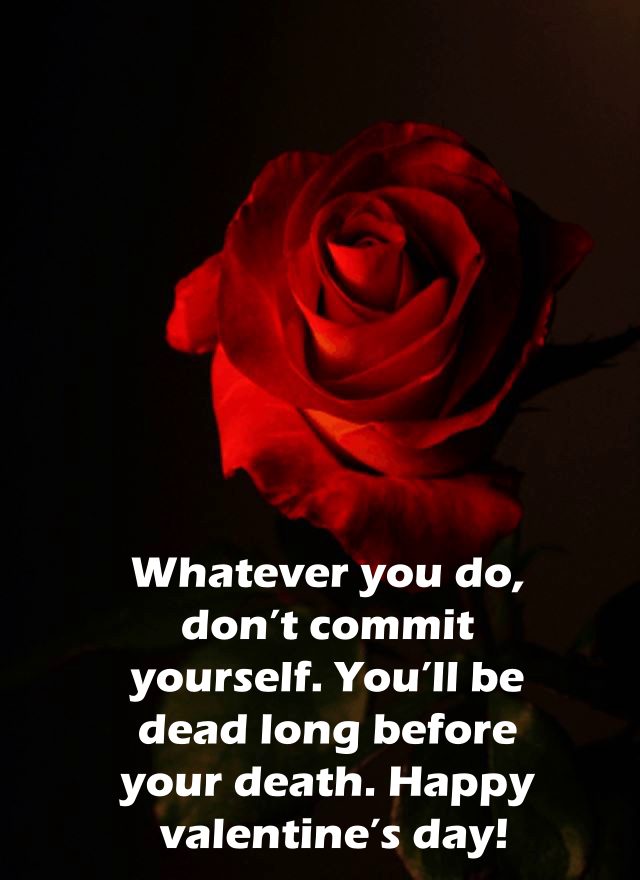 funny valentines day quotes and valentine sentiments funny valentines day quotes and valentine sentiments | valentine joke messages, happy valentines day friend funny, valentines day quotes funny