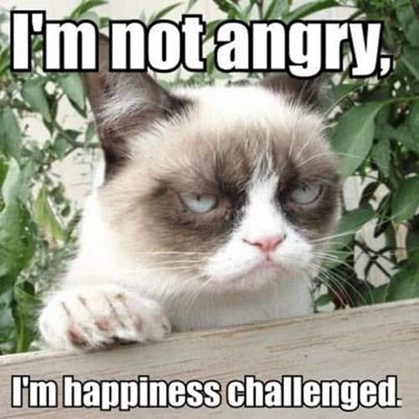 angry happiness challenged memes Angry Memes For Those With A Lot Of So Mad Best Funny Pictures