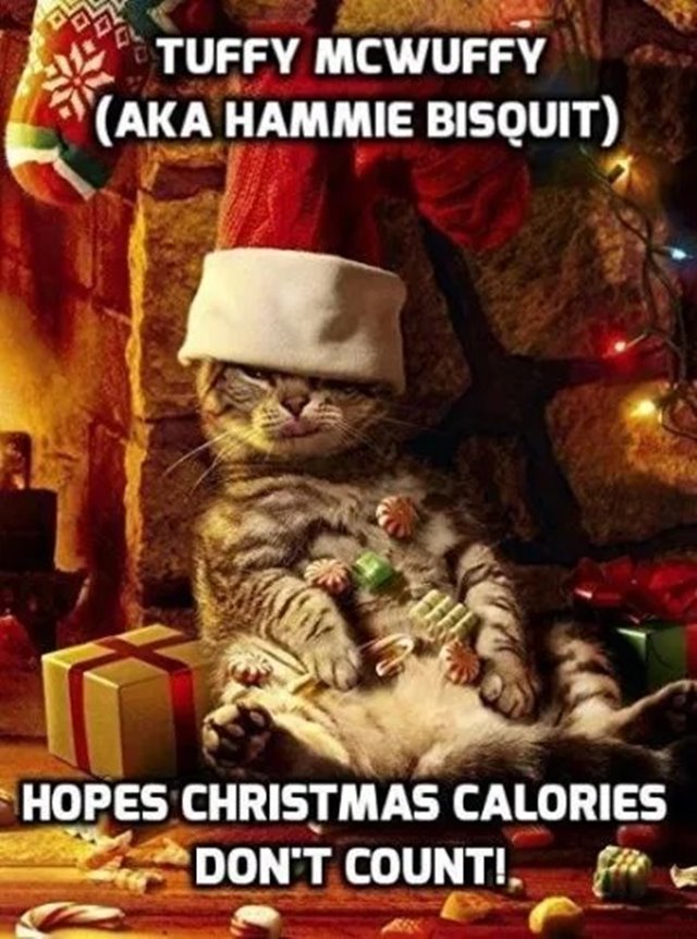 christmas after halloween memes Merry Christmas Memes And Funny Images