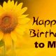 ultimate happy birthday to me wishes messages and quotes birthday wishes for myself