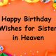 Happy Birthday Wishes for Sister in Heaven Happy Birthday Sister