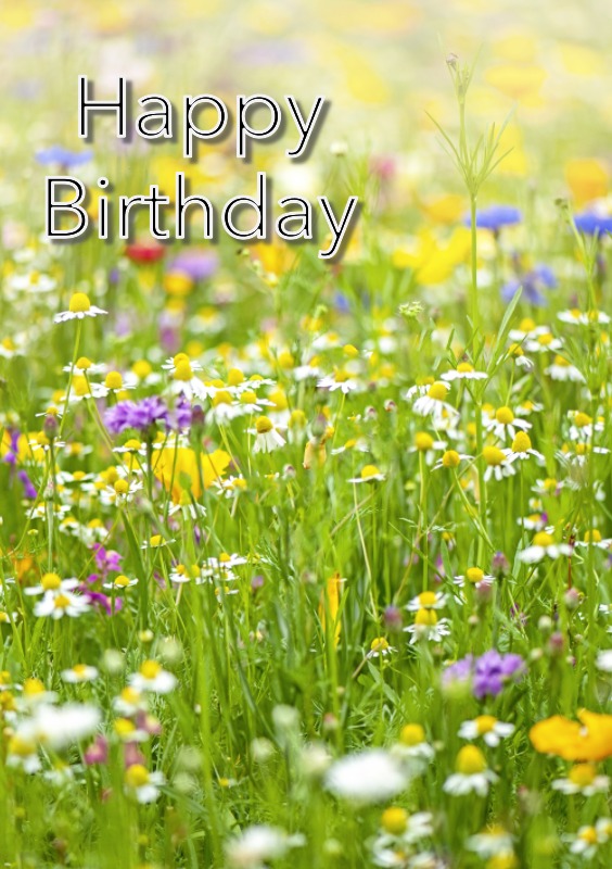 Beautiful Happy Birthday Images