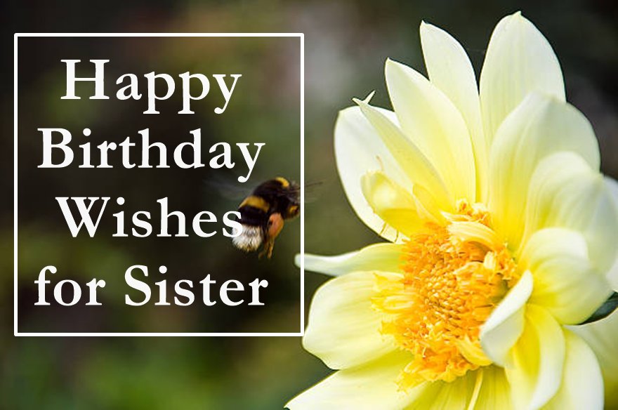 Birthday Wishes for Sister Heart Touching Happy Birthday Sister 1