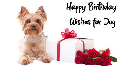 Happy Birthday Wishes for Dog to Woof with Beautiful Images