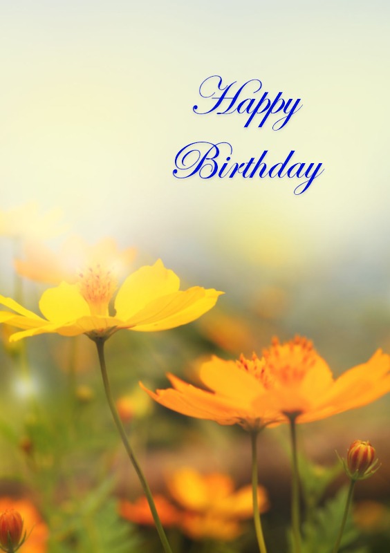 Happy Birthday images for female friend