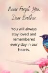 200+ Heartfelt & Meaningful Birthday Wishes for Brother In Heaven ...