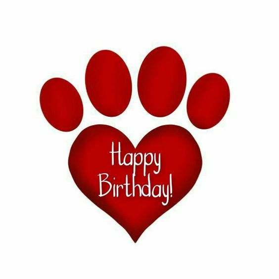 happy birthday wishes for pet dog happy birthday wishes for pet dog