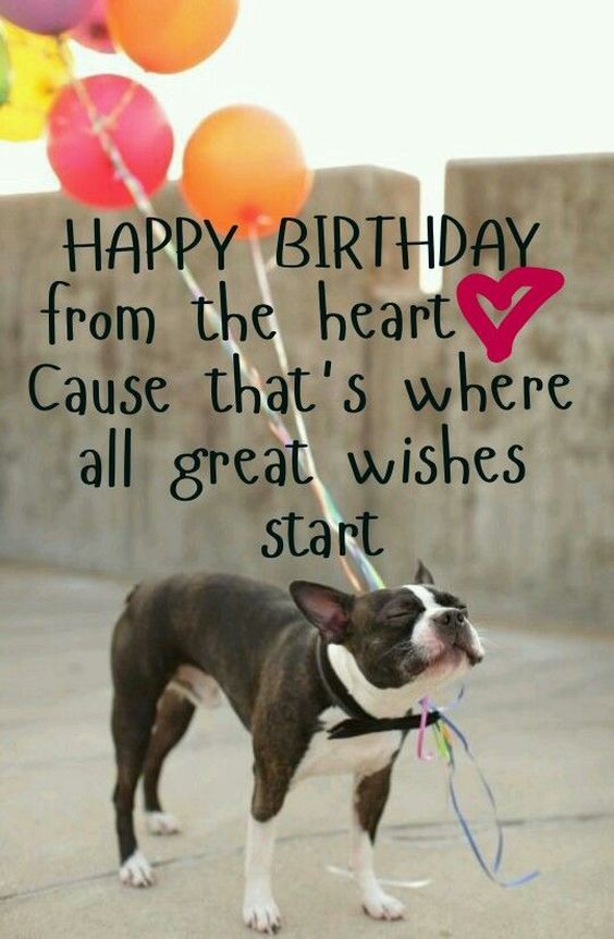 happy birthday wishes with dogs images happy birthday wishes with dogs images