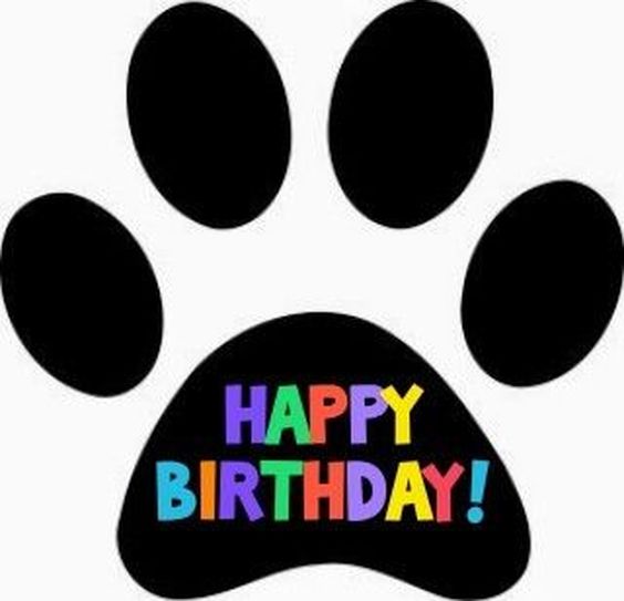 what do you write on a dogs birthday card what do you write on a dogs birthday card