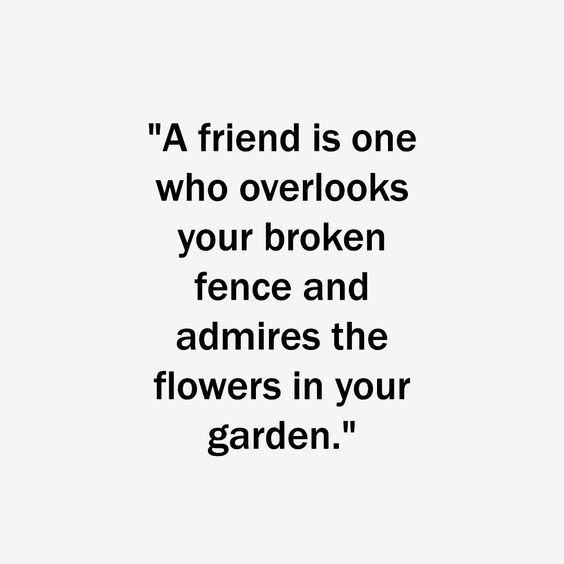 Cute friendship quotes in english