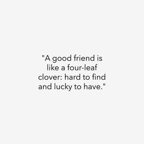 Cute friendship quotes short