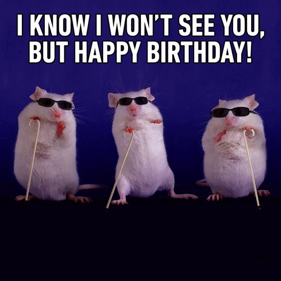 Free funny Birthday Memes for her Free funny Birthday Memes for her