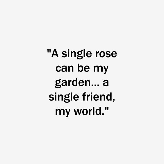 Meaningful friendship quotes
