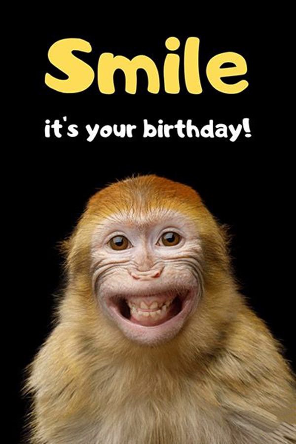 funny birthday picturesand Happy Birthday Pictures