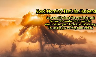 Awesome Good Morning Text for Husband Good Morning Images