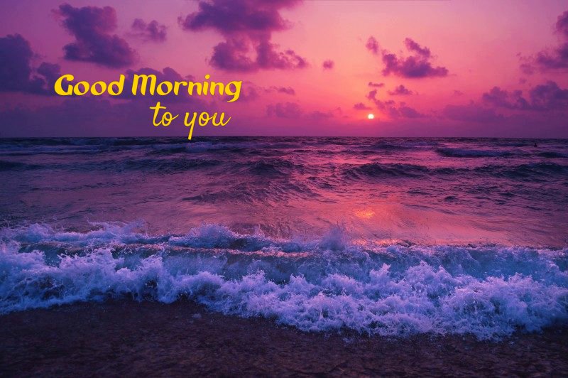 Best Good Morning Greetings Images Wishes Messages