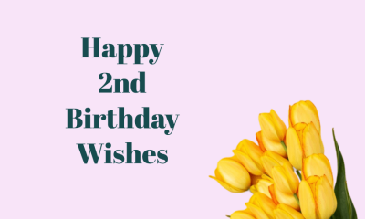 Happy 2nd Birthday Wishes
