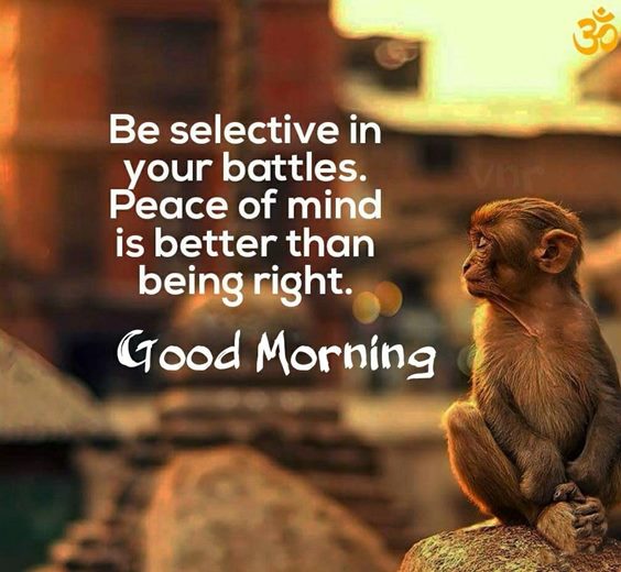 best good morning greetings images wishes messages 16
