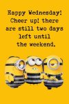150+ Happy Wednesday Memes of All Time - Dreams Quote