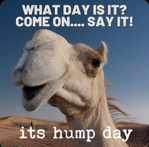 happy wednesday memes of all time 3