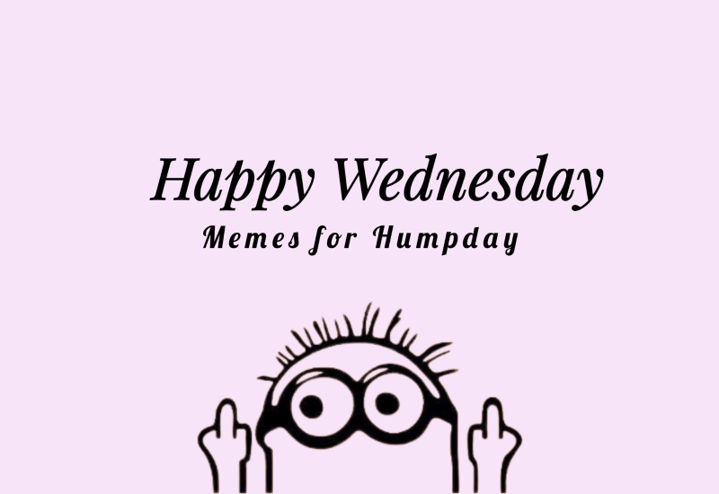 happy wednesday memes of all time