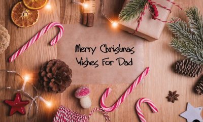 Merry Christmas Wishes For Dad