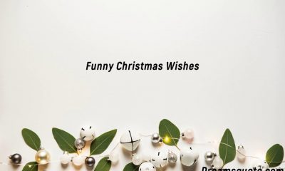 Funny Christmas Wishes and Images