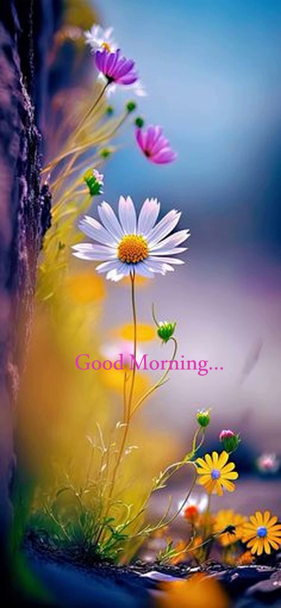 Good morning winter quotes Good morning winter quotes