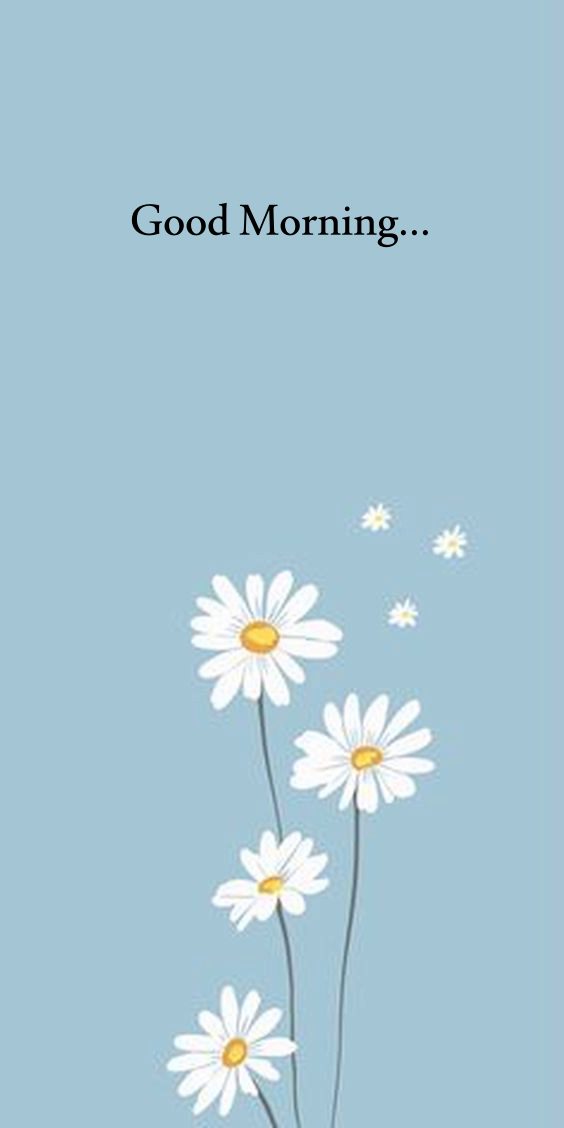 Good morning winter scenery Good morning winter scenery