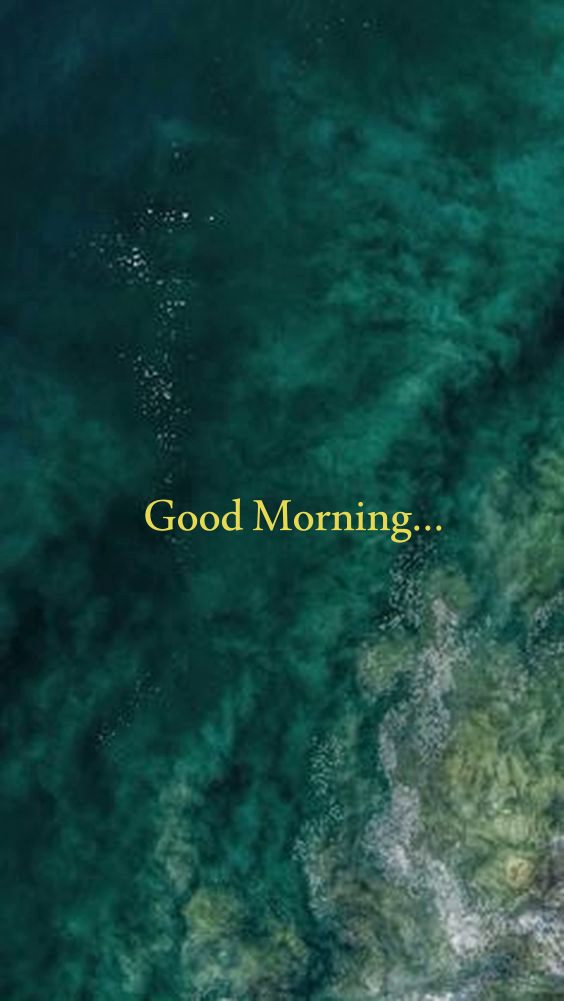 Morning greetings in winter Morning greetings in winter