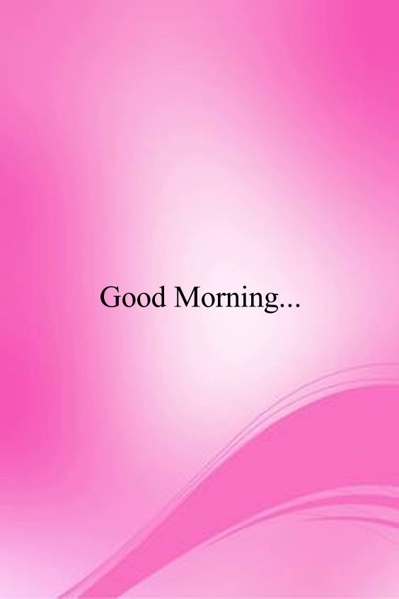 Snow covered good morning Snow covered good morning