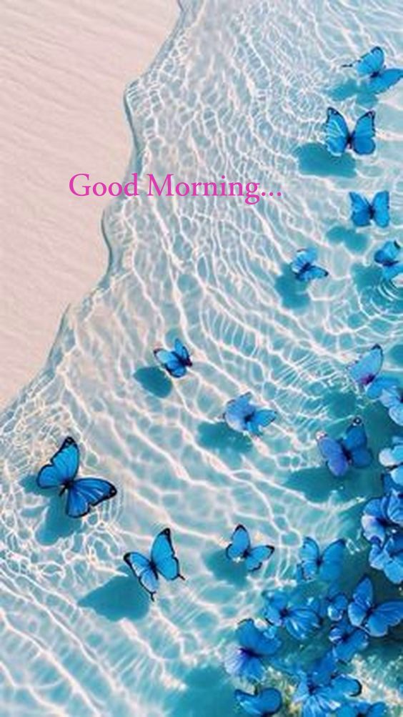 Winter morning messages Winter morning messages