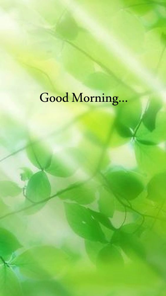 Winter morning wishes Winter morning wishes