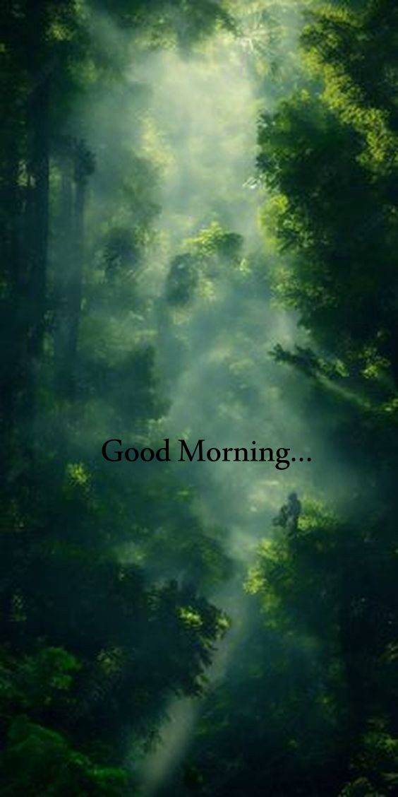 Winter season good morning Winter season good morning