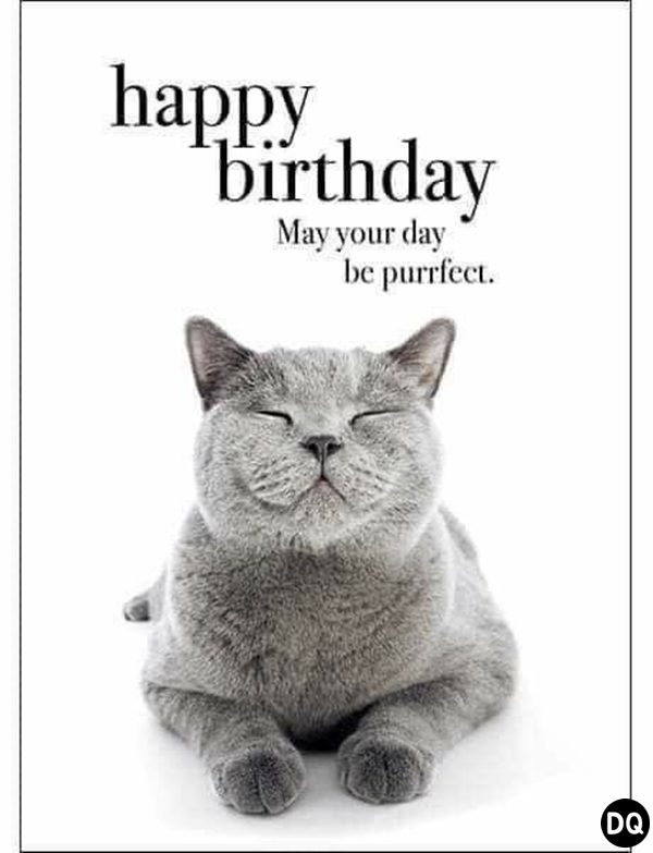 funny birthday images for husband life quotes about birthday