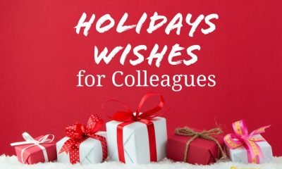 Holidays Wishes for Colleagues