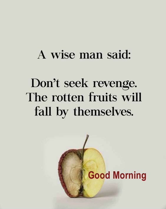 Amazing Good Morning Images with Quotes Amazing Good Morning Images with Quotes