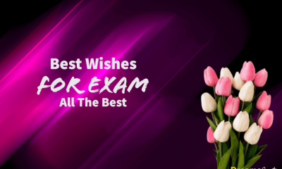 Best Wishes for Exam All The Best