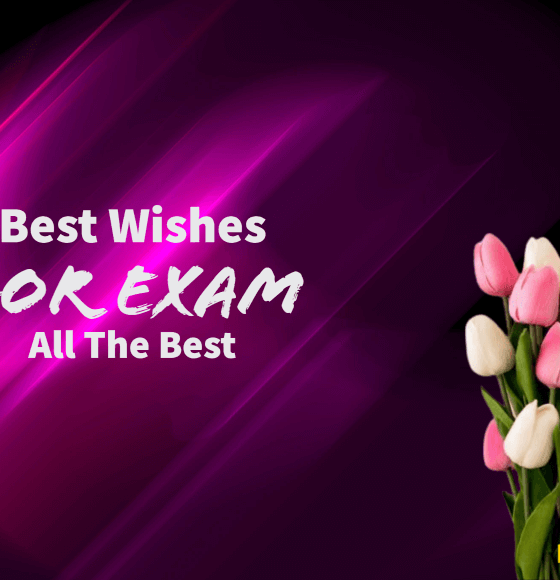 Best Wishes for Exam All The Best