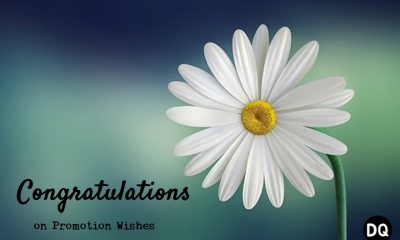 Congratulations on Promotion Wishes Messages and Quotes