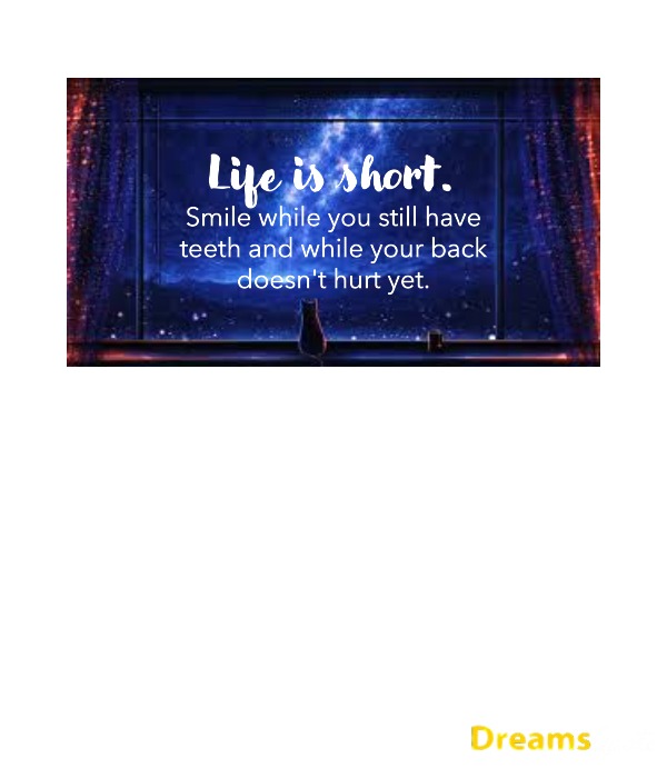 Funny Life Sayings and Hilarious Captions for a Daily Laugh